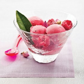 6 COUPES A GLACE - Helsinki - 25 cl - ø 11,2x7,3 cm