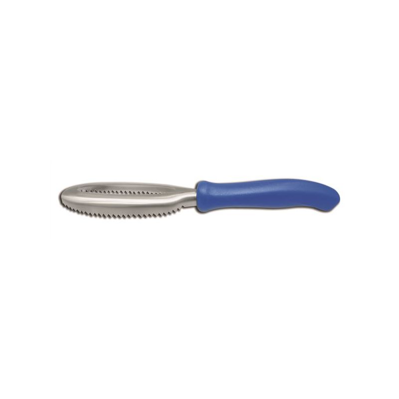 ECAILLEUR B42875