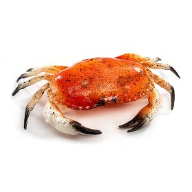 CRABE B43062