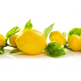 GUIRLANDE DE CITRONS B43067
