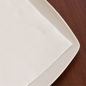SERVIETTE 20X20 BLANCHE DOUBLE POINTS - 24 PAQUETS DE 100