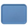 Plateau Fast Food 26x36 cm - Couleur bleu ciel - Lot de 45 - Platex