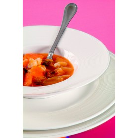 6 ASSIETTES PLATES ø 30*P2.5 cm PORCELAINE HOTELIERE - SPIRAL