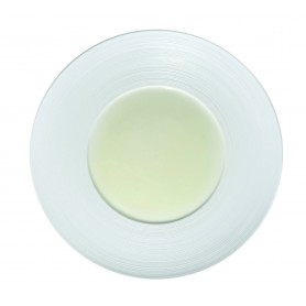 12 ASSIETTES PLATE ø28cm - RELIEF - BASSIN IVOIRE AILE BLANCHE