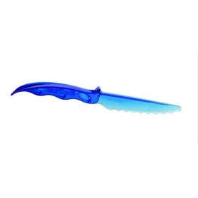 Couteaux copolyester 21 cm - SAINT ROMAIN