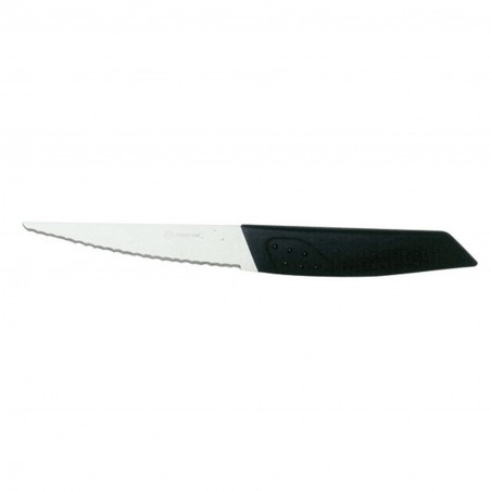 DOUZE COUTEAUX A STEAK EVOLUTION 12CM